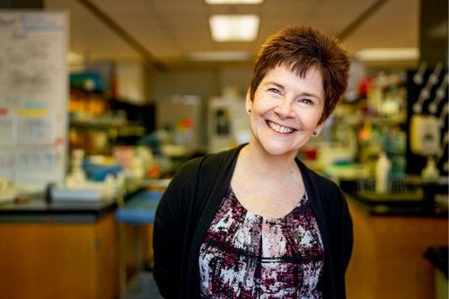 Evolving with Septins: Interview with Michelle Momany