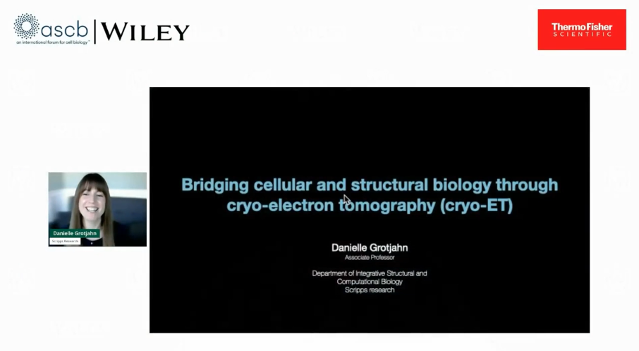 Bridging cellular and structural biology through cryo-electron tomography